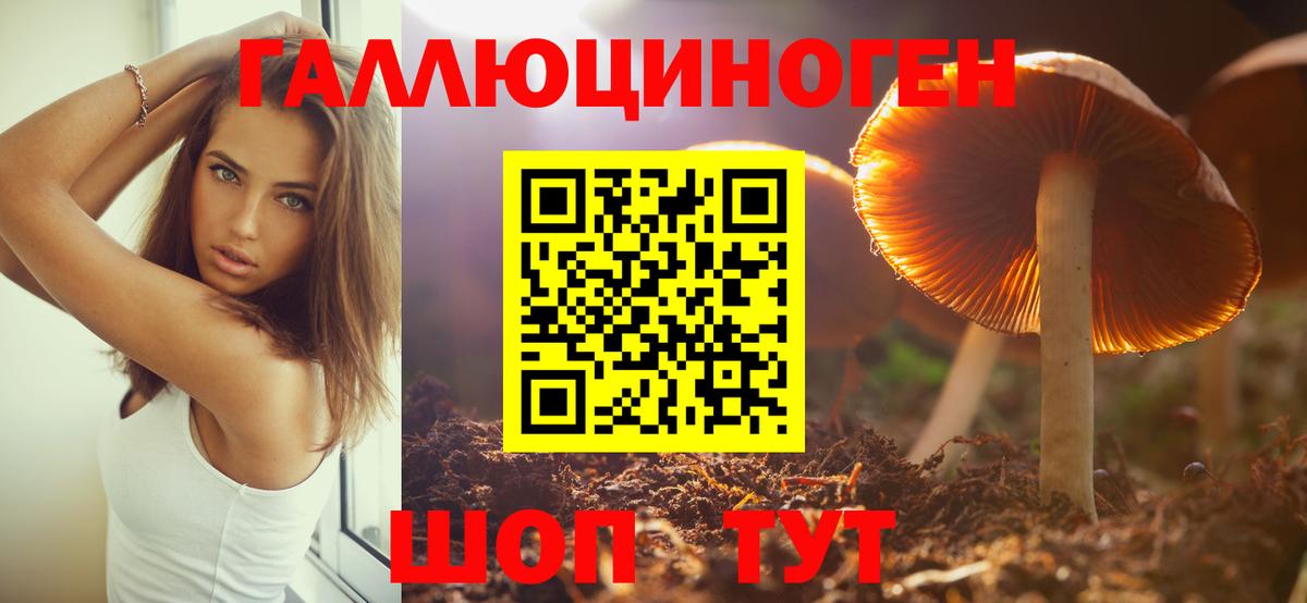 что такое   Галлюциногенные грибы GOLDEN TEACHER  Саранск  Вход с VPN  Псилоцибиновые грибы Psilocybine cubensis 